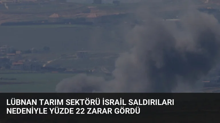 Lübnan Tarım Sektörü İsrail Saldırıları Nedeniyle Yüzde 22 Zarar Gördü