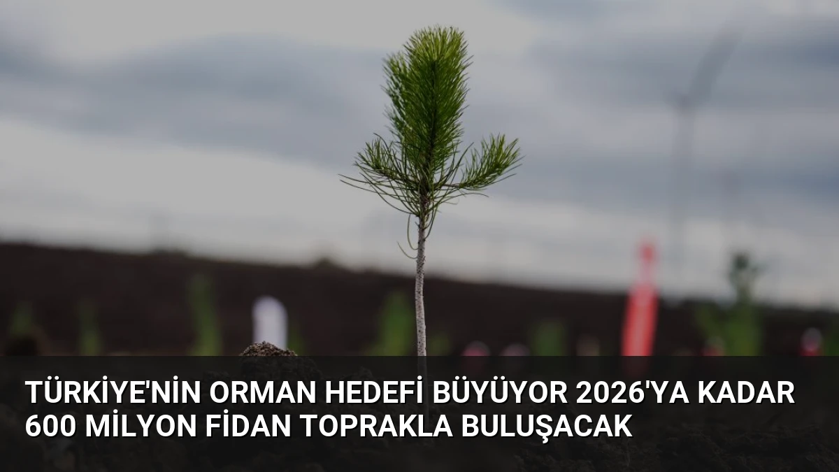 Türkiye’nin Orman Hedefi Büyüyor 2026’ya Kadar 600 Milyon Fidan Toprakla Buluşacak