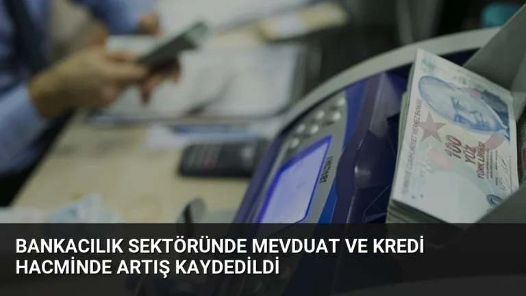 Bankacılık Sektöründe Mevduat ve Kredi Hacminde Artış Kaydedildi
