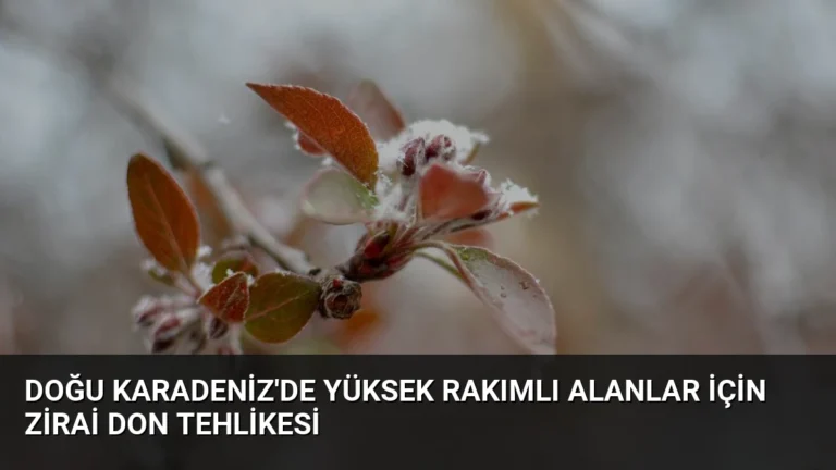 Doğu Karadeniz’de Yüksek Rakımlı Alanlar İçin Zirai Don Tehlikesi