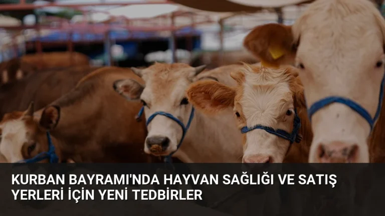 Kurban Bayramı’nda Hayvan Sağlığı ve Satış Yerleri İçin Yeni Tedbirler