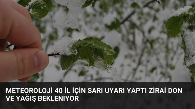 Meteoroloji 40 İl İçin Sarı Uyarı Yaptı Zirai Don ve Yağış Bekleniyor