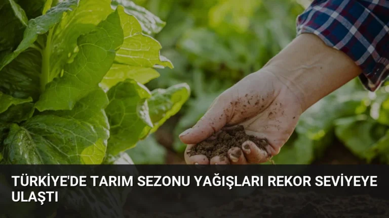 Türkiye’de Tarım Sezonu Yağışları Rekor Seviyeye Ulaştı