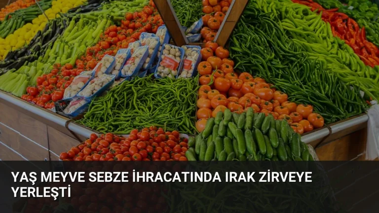 Yaş Meyve Sebze İhracatında Irak Zirveye Yerleşti