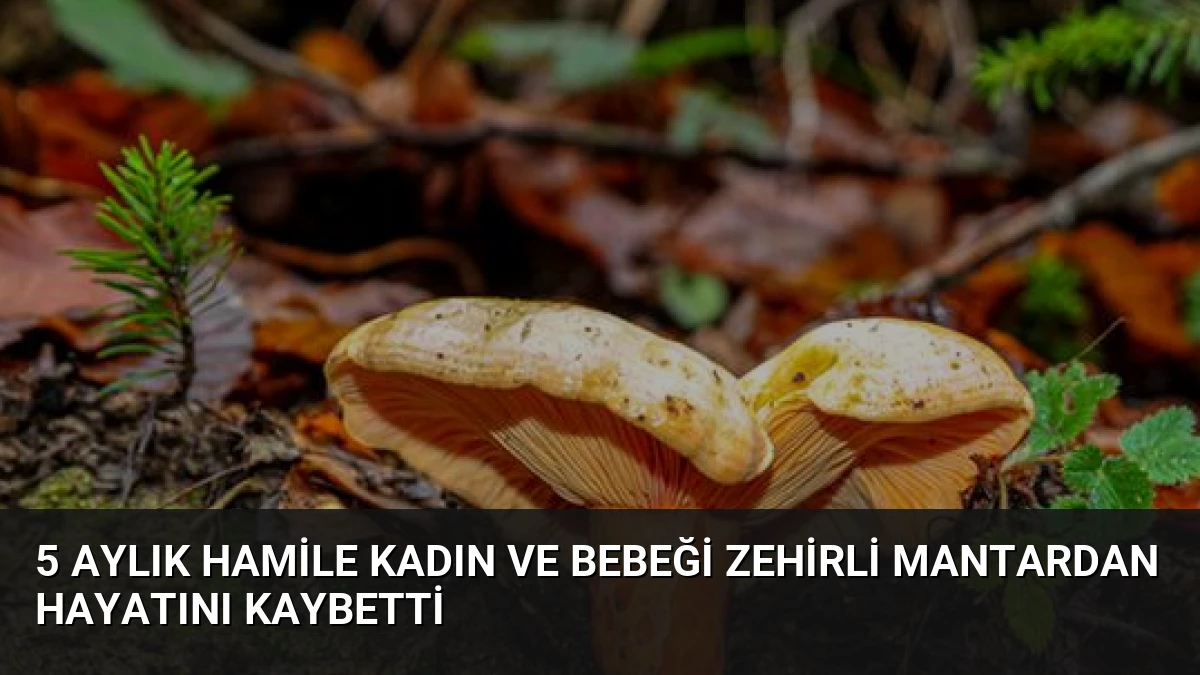 5 Aylık Hamile Kadın ve Bebeği Zehirli Mantardan Hayatını Kaybetti