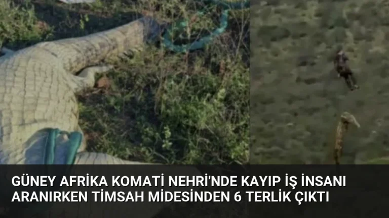 Güney Afrika Komati Nehri’nde Kayıp İş İnsanı Aranırken Timsah Midesinden 6 Terlik Çıktı