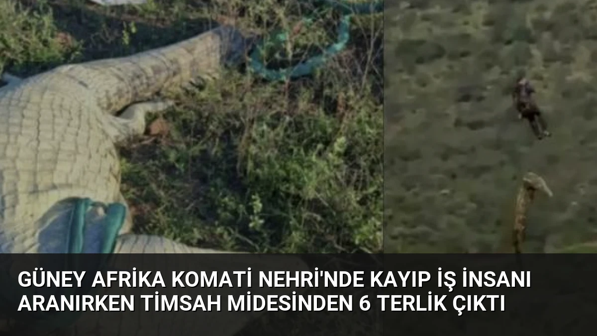 Güney Afrika Komati Nehri’nde Kayıp İş İnsanı Aranırken Timsah Midesinden 6 Terlik Çıktı