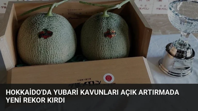 Hokkaido’da Yubari Kavunları Açık Artırmada Yeni Rekor Kırdı