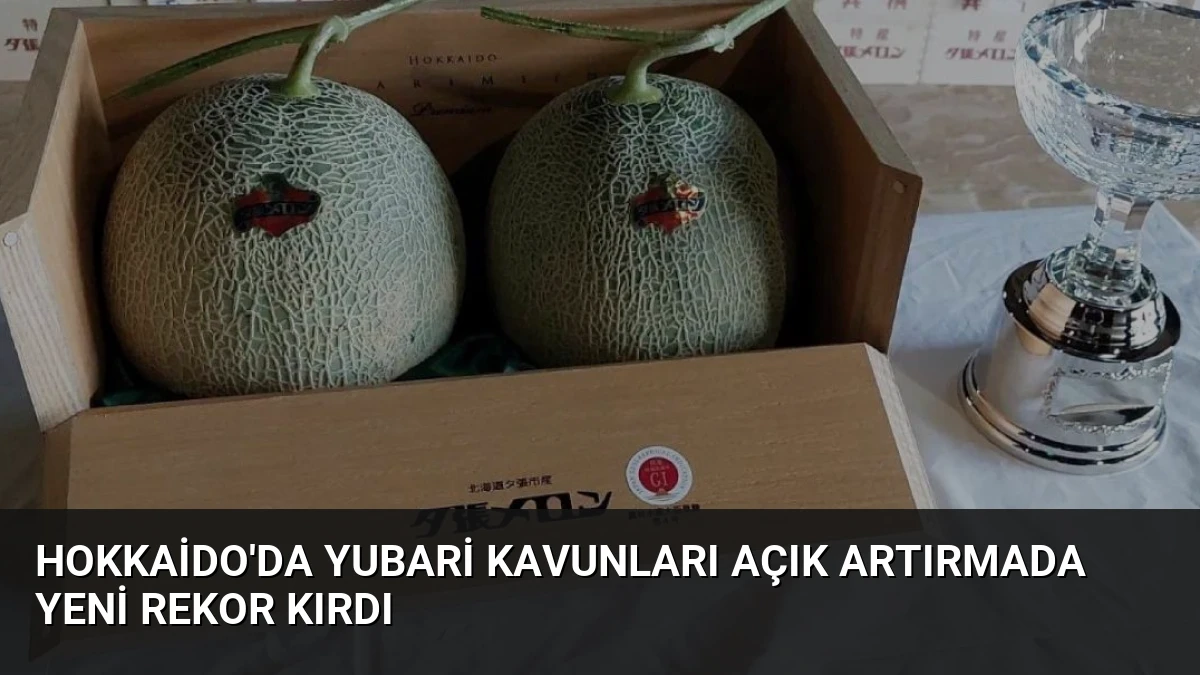 Hokkaido’da Yubari Kavunları Açık Artırmada Yeni Rekor Kırdı