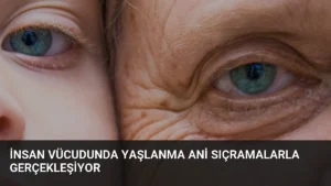 İnsan Vücudunda Yaşlanma Ani Sıçramalarla Gerçekleşiyor