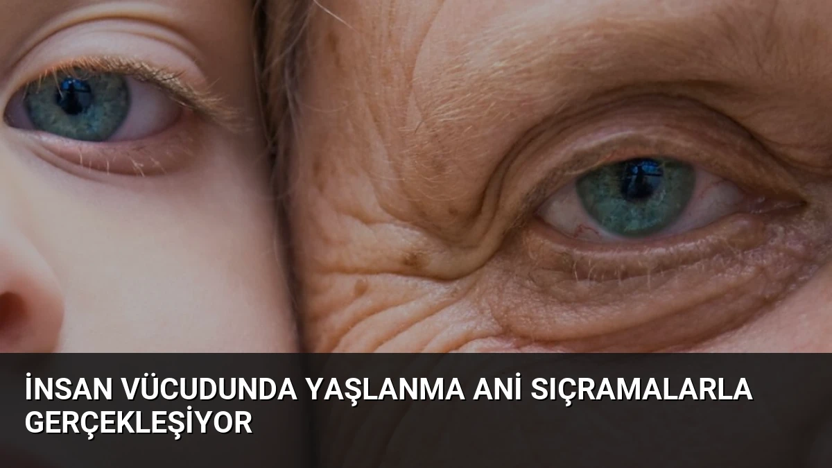 İnsan Vücudunda Yaşlanma Ani Sıçramalarla Gerçekleşiyor
