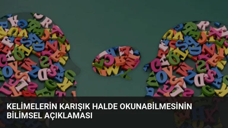 Kelimelerin Karışık Halde Okunabilmesinin Bilimsel Açıklaması