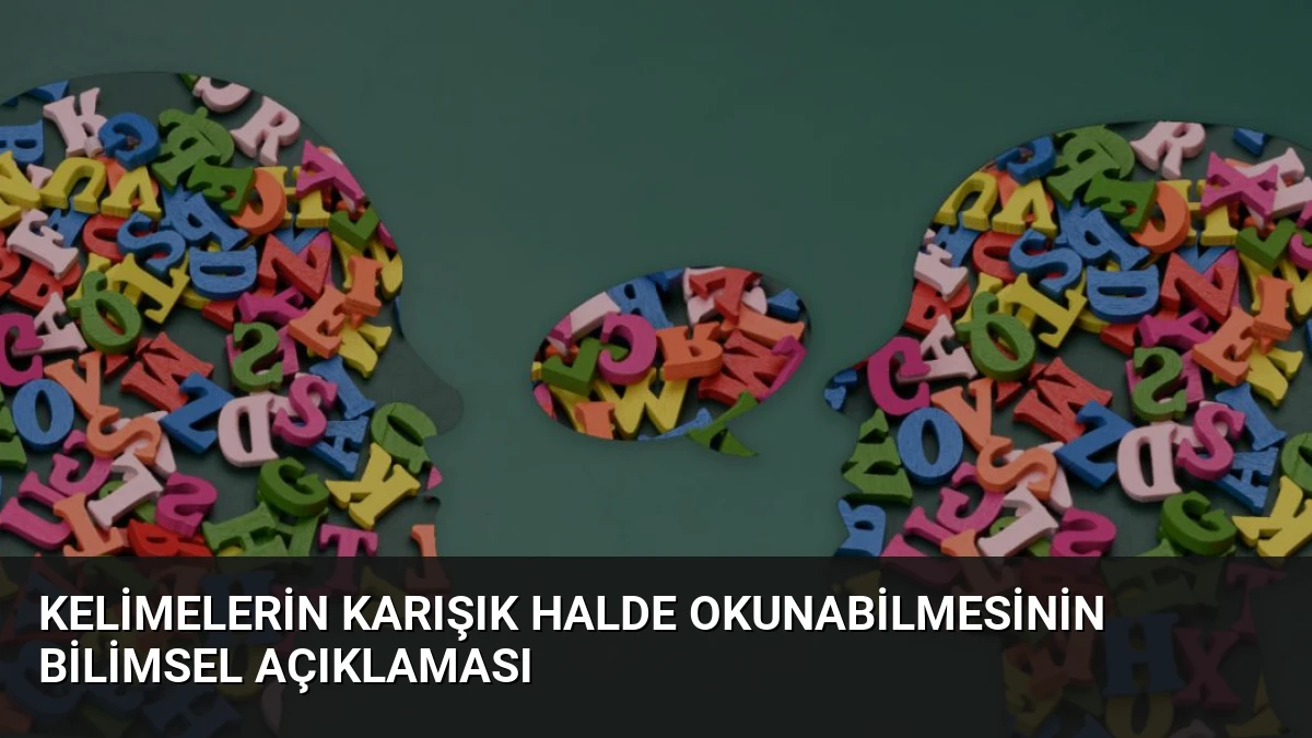 Kelimelerin Karışık Halde Okunabilmesinin Bilimsel Açıklaması