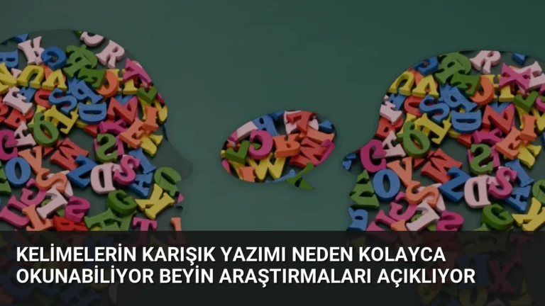 Kelimelerin Karışık Yazımı Neden Kolayca Okunabiliyor Beyin Araştırmaları Açıklıyor