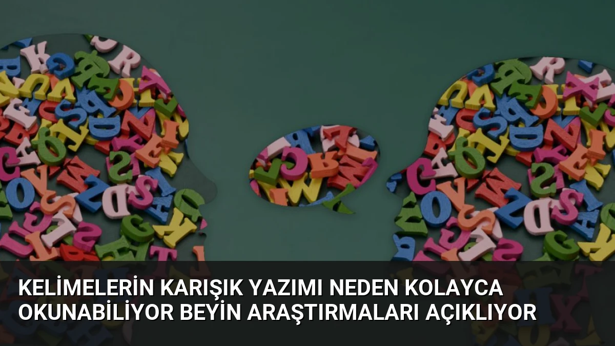 Kelimelerin Karışık Yazımı Neden Kolayca Okunabiliyor Beyin Araştırmaları Açıklıyor
