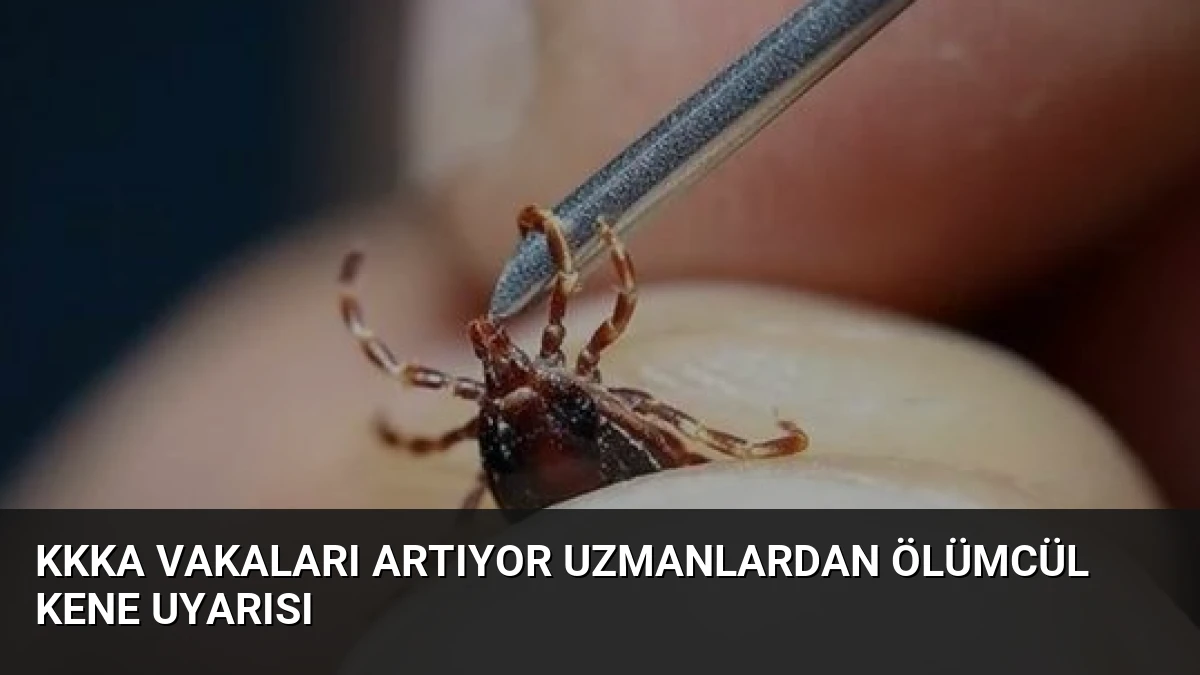 KKKA Vakaları Artıyor Uzmanlardan Ölümcül Kene Uyarısı