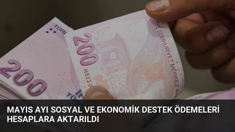 Mayıs Ayı Sosyal ve Ekonomik Destek Ödemeleri Hesaplara Aktarıldı