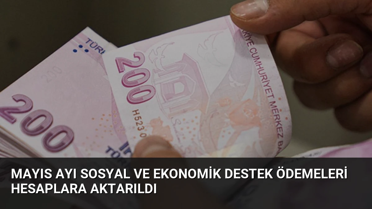 Mayıs Ayı Sosyal ve Ekonomik Destek Ödemeleri Hesaplara Aktarıldı