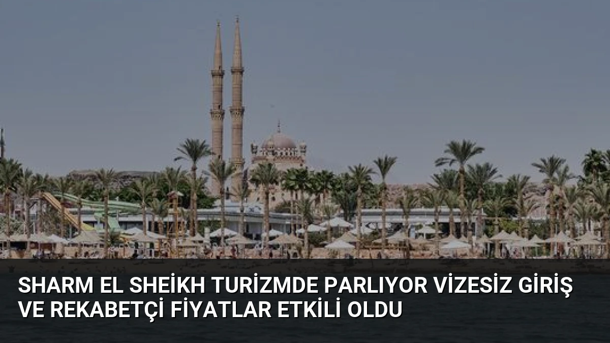 Sharm El Sheikh Turizmde Parlıyor Vizesiz Giriş ve Rekabetçi Fiyatlar Etkili Oldu
