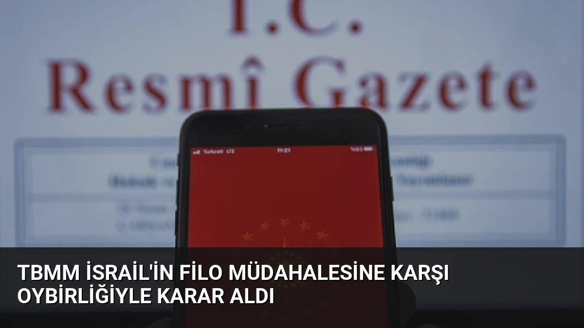TBMM İsrail’in Filo Müdahalesine Karşı Oybirliğiyle Karar Aldı