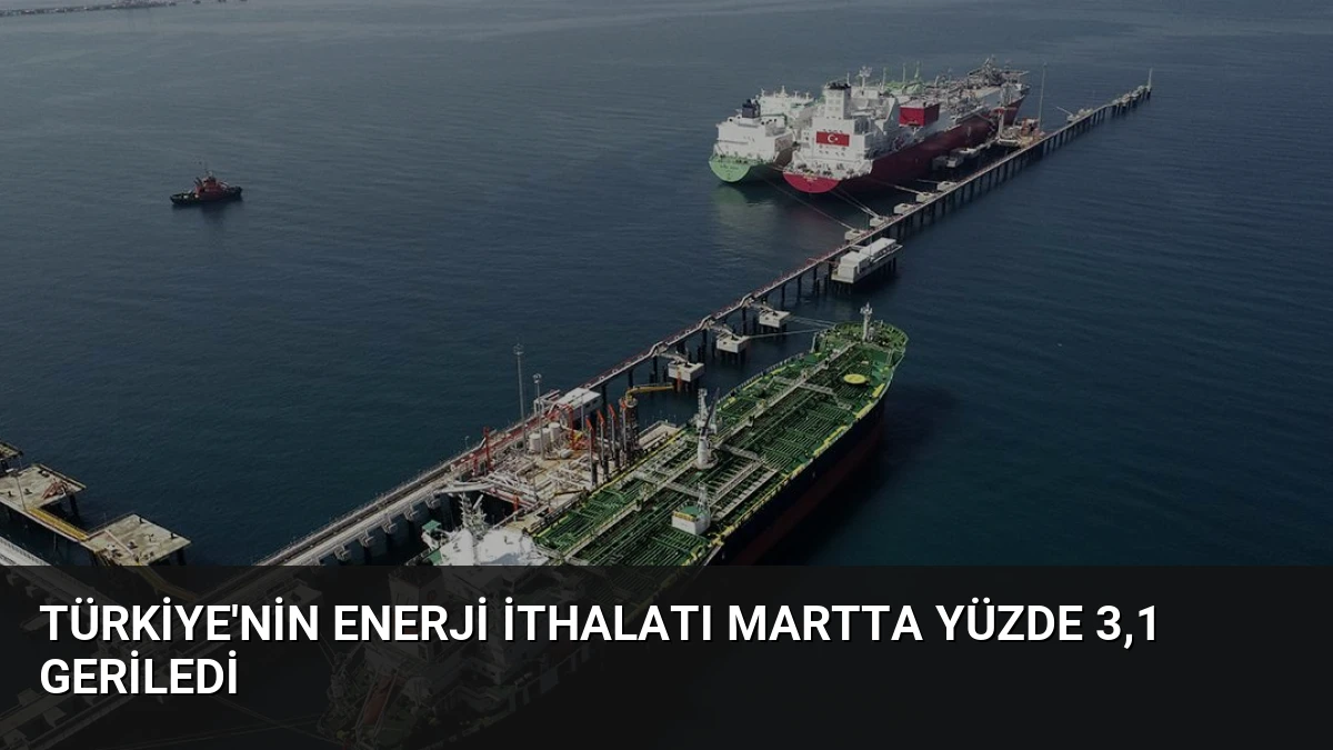 Türkiye’nin Enerji İthalatı Martta Yüzde 3,1 Geriledi