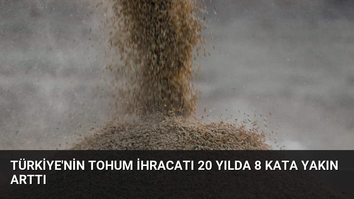 Türkiye’nin Tohum İhracatı 20 Yılda 8 Kata Yakın Arttı