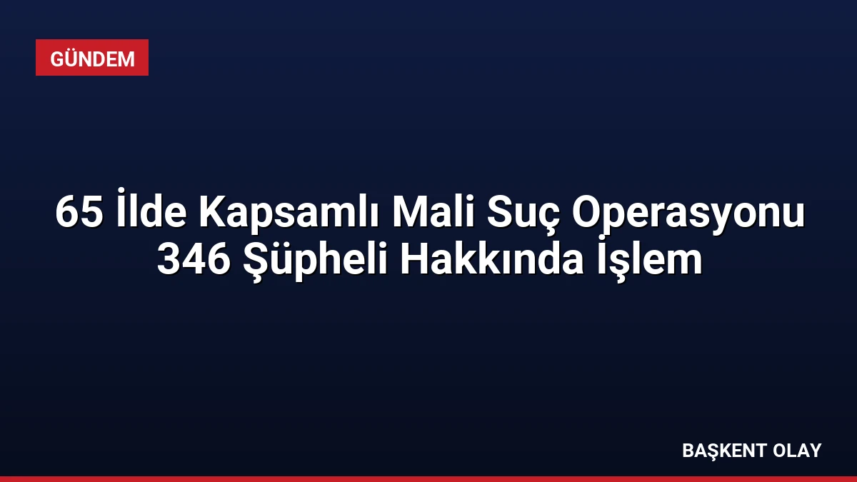 65 İlde Kapsamlı Mali Suç Operasyonu 346 Şüpheli Hakkında İşlem