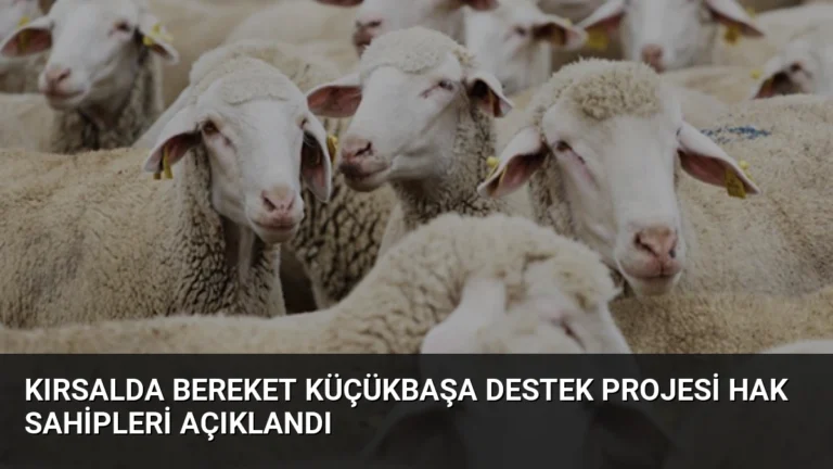 Kırsalda Bereket Küçükbaşa Destek Projesi Hak Sahipleri Açıklandı