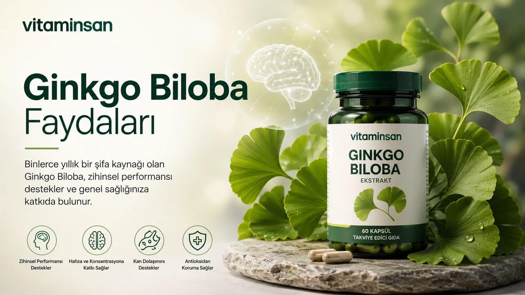 Ginkgo Biloba Faydaları