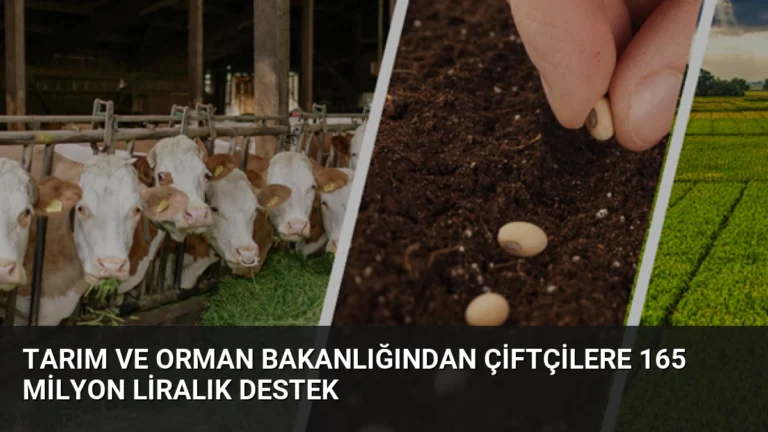 Tarım ve Orman Bakanlığından Çiftçilere 165 Milyon Liralık Destek