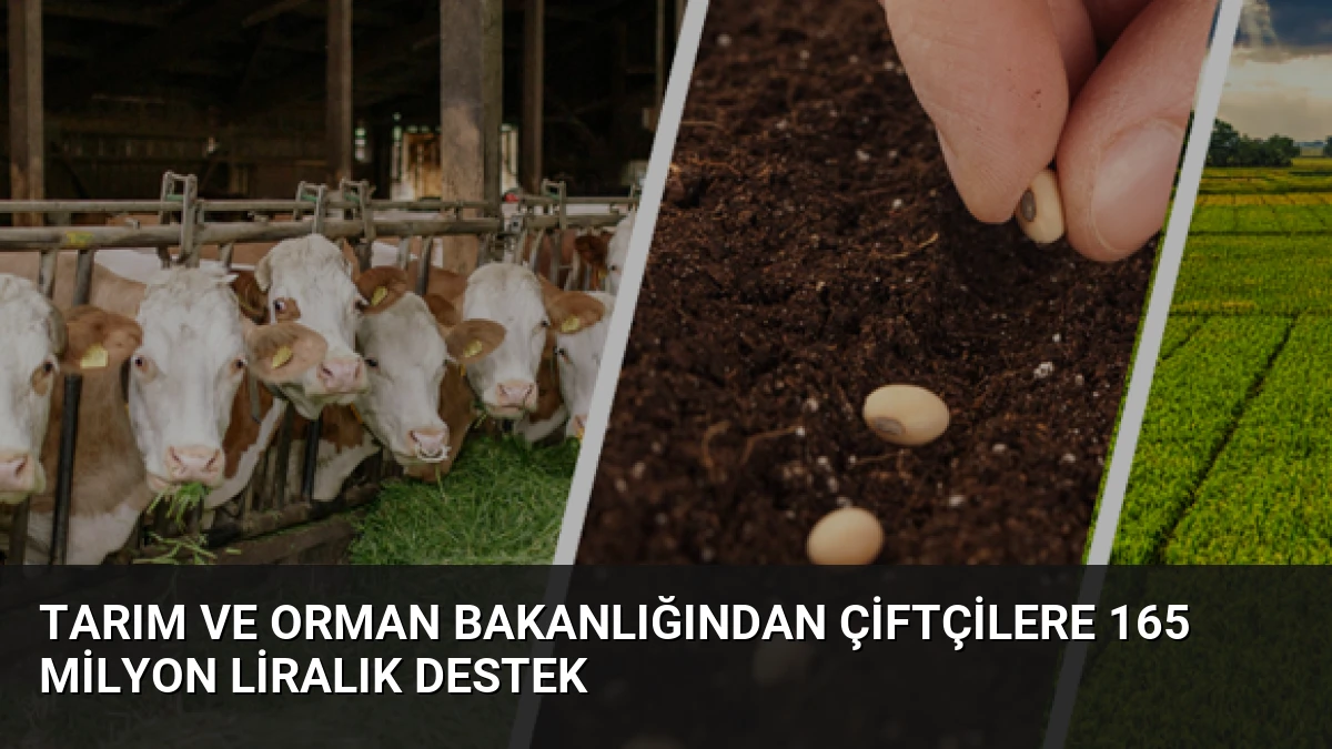 Tarım ve Orman Bakanlığından Çiftçilere 165 Milyon Liralık Destek