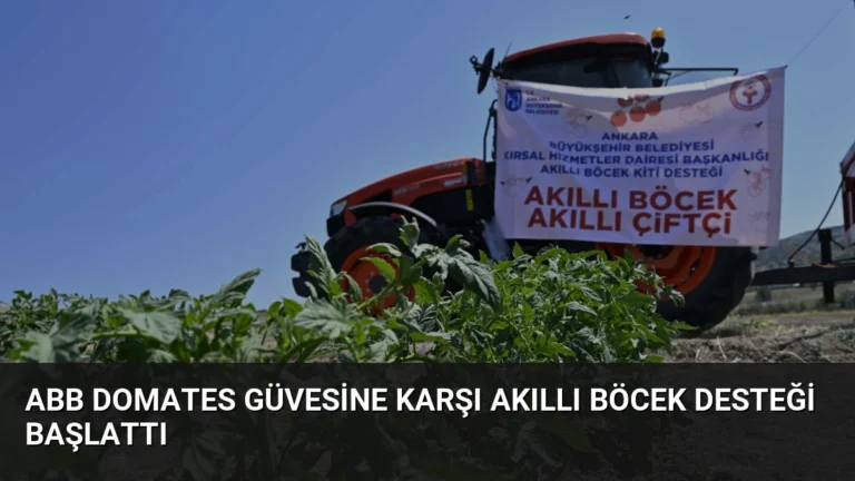 ABB Domates Güvesine Karşı Akıllı Böcek Desteği Başlattı