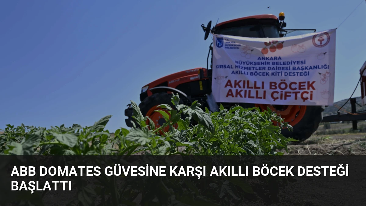 ABB Domates Güvesine Karşı Akıllı Böcek Desteği Başlattı