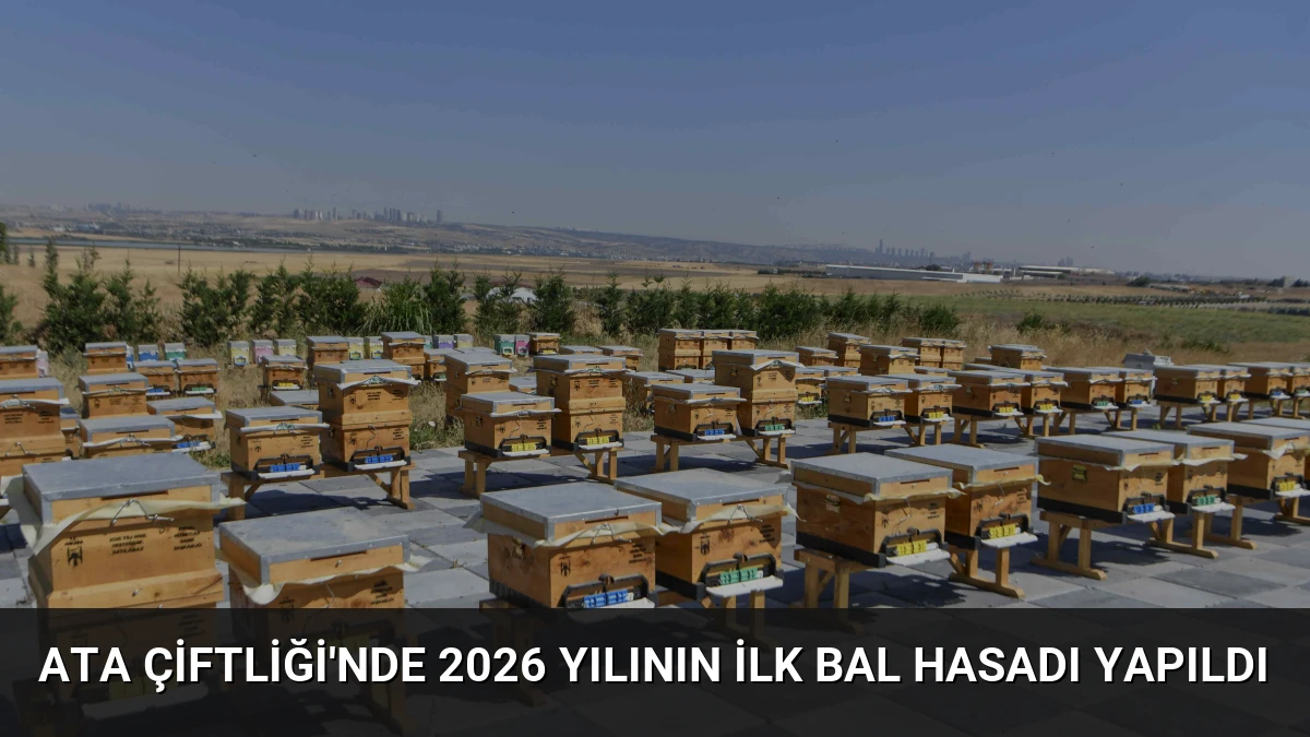 ATA Çiftliği’nde 2026 Yılının İlk Bal Hasadı Yapıldı