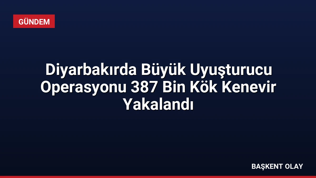 Diyarbakırda Büyük Uyuşturucu Operasyonu 387 Bin Kök Kenevir Yakalandı