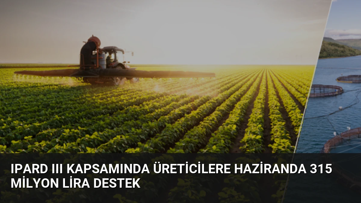 IPARD III kapsamında üreticilere haziranda 315 milyon lira destek