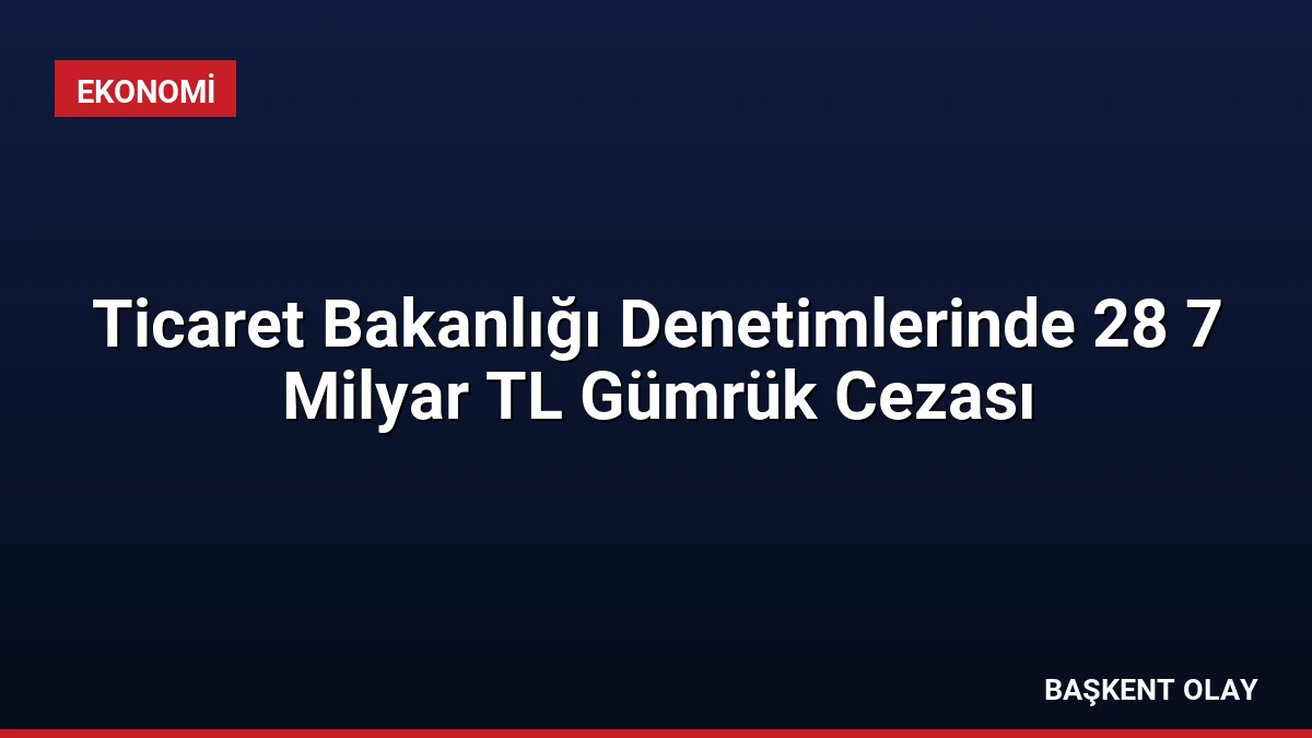 Ticaret Bakanlığı Denetimlerinde 28 7 Milyar TL Gümrük Cezası