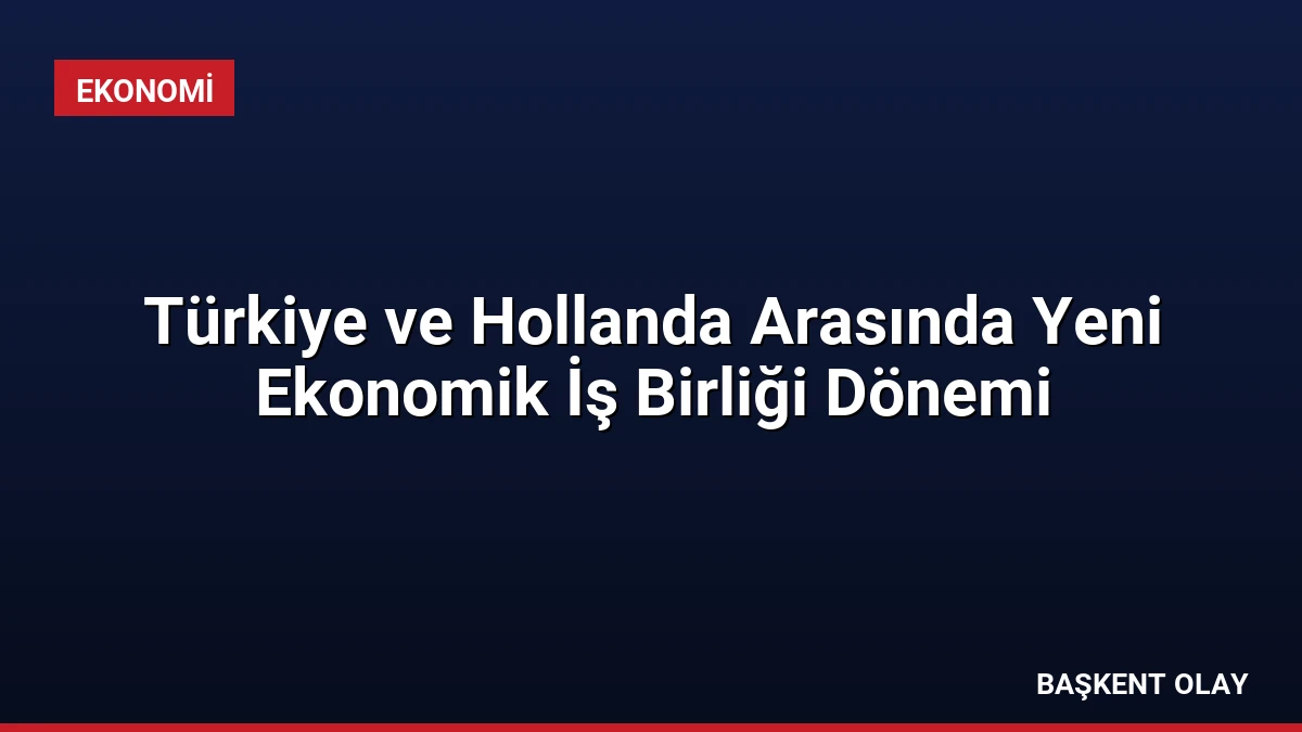 Türkiye ve Hollanda Arasında Yeni Ekonomik İş Birliği Dönemi