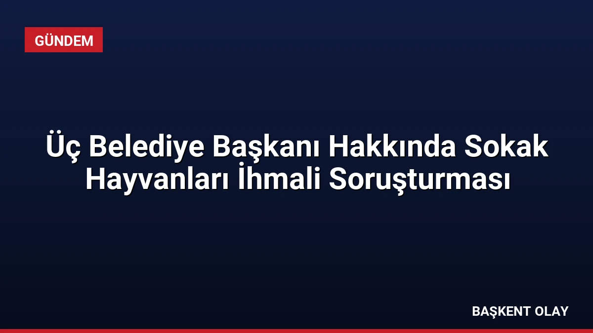 Üç Belediye Başkanı Hakkında Sokak Hayvanları İhmali Soruşturması