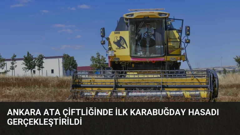 Ankara ATA Çiftliğinde İlk Karabuğday Hasadı Gerçekleştirildi