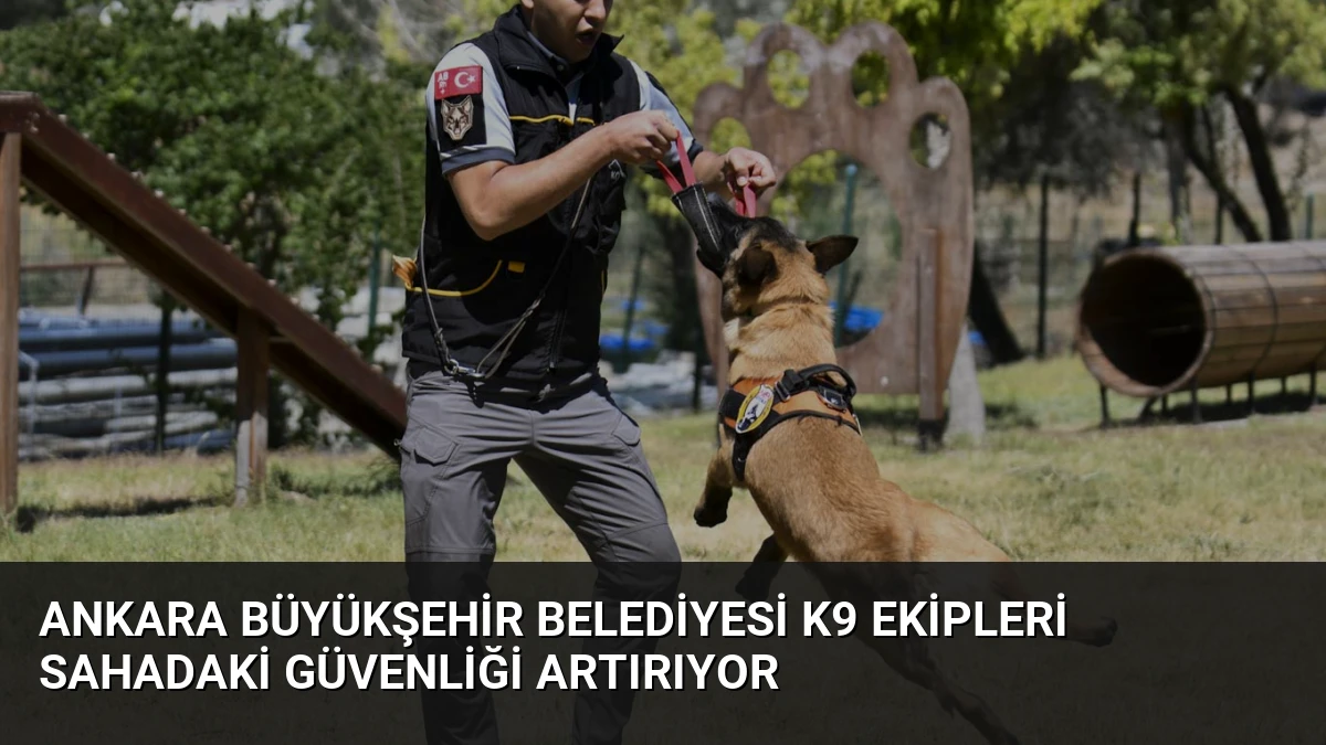 Ankara Büyükşehir Belediyesi K9 Ekipleri Sahadaki Güvenliği Artırıyor