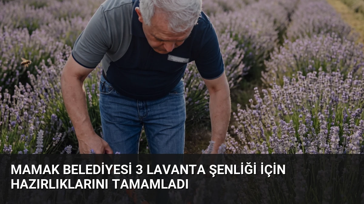 Mamak Belediyesi 3 Lavanta Şenliği İçin Hazırlıklarını Tamamladı