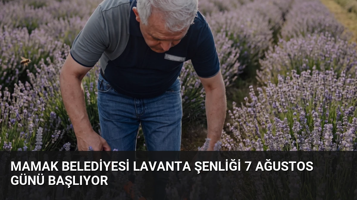 Mamak Belediyesi Lavanta Şenliği 7 Ağustos Günü Başlıyor