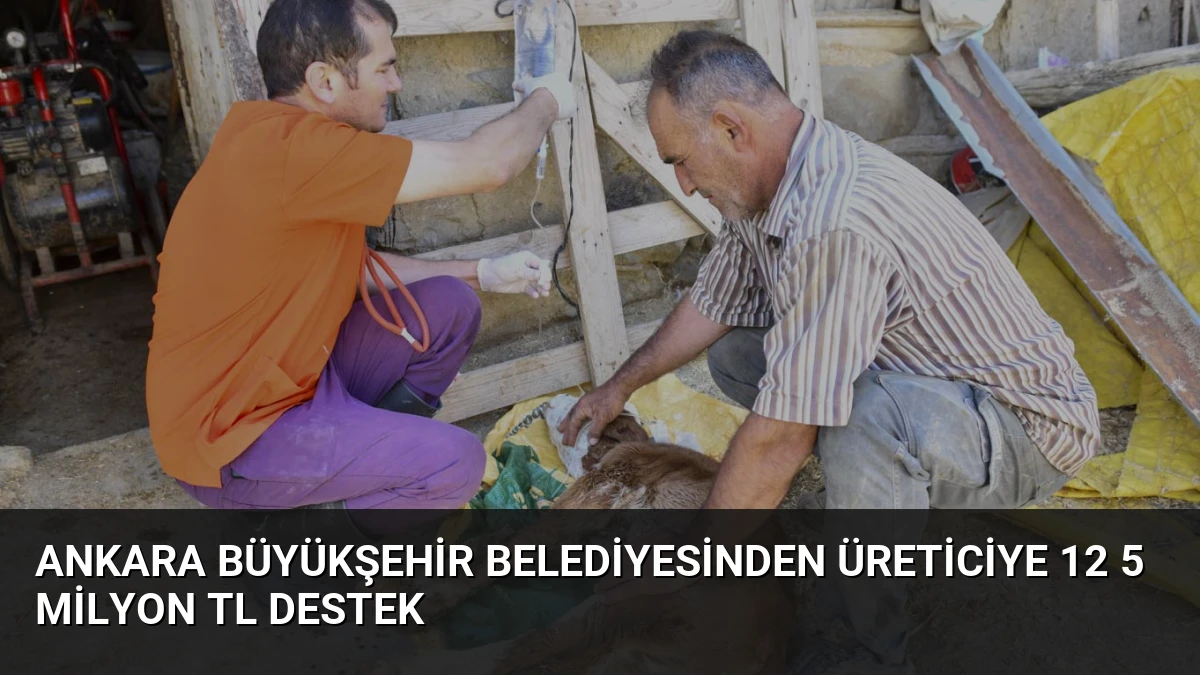 Ankara Büyükşehir Belediyesinden Üreticiye 12 5 Milyon TL Destek