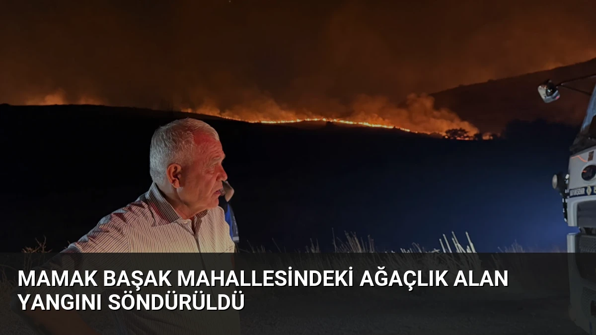 Mamak Başak Mahallesindeki Ağaçlık Alan Yangını Söndürüldü