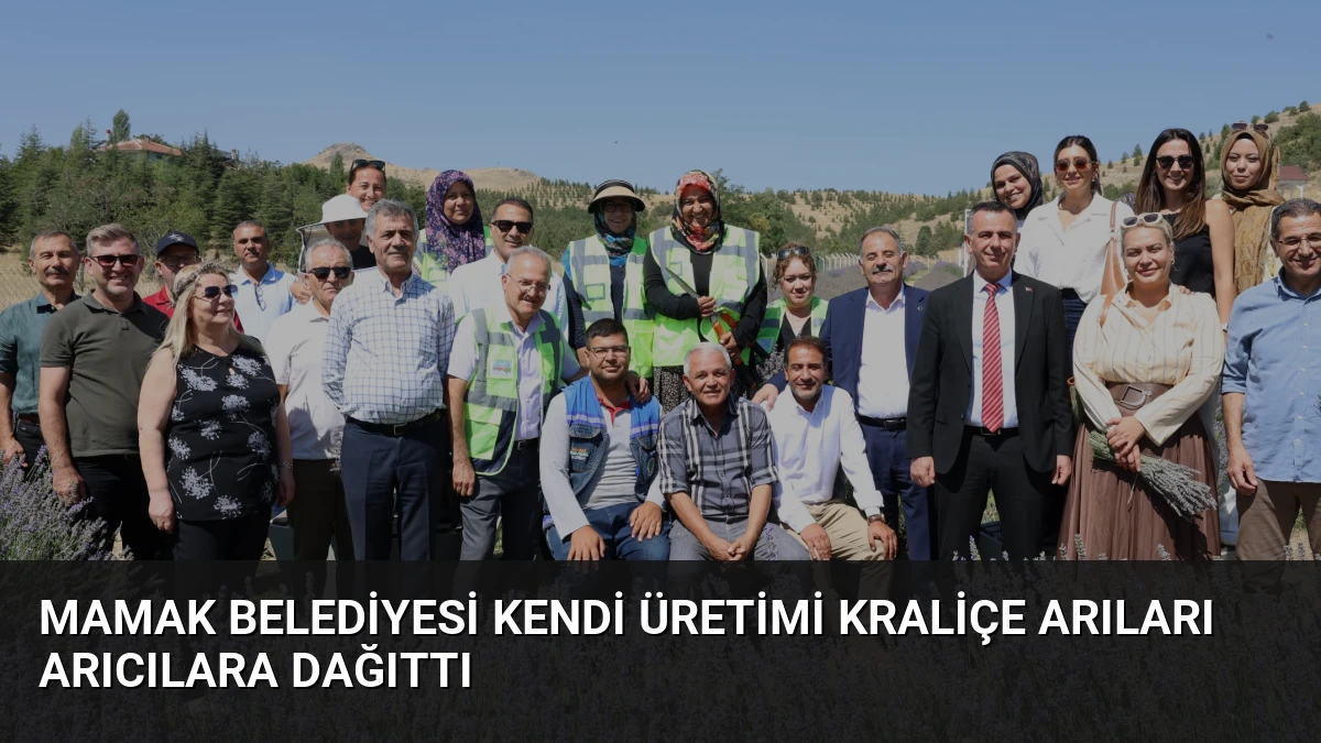 Mamak Belediyesi kendi üretimi kraliçe arıları arıcılara dağıttı
