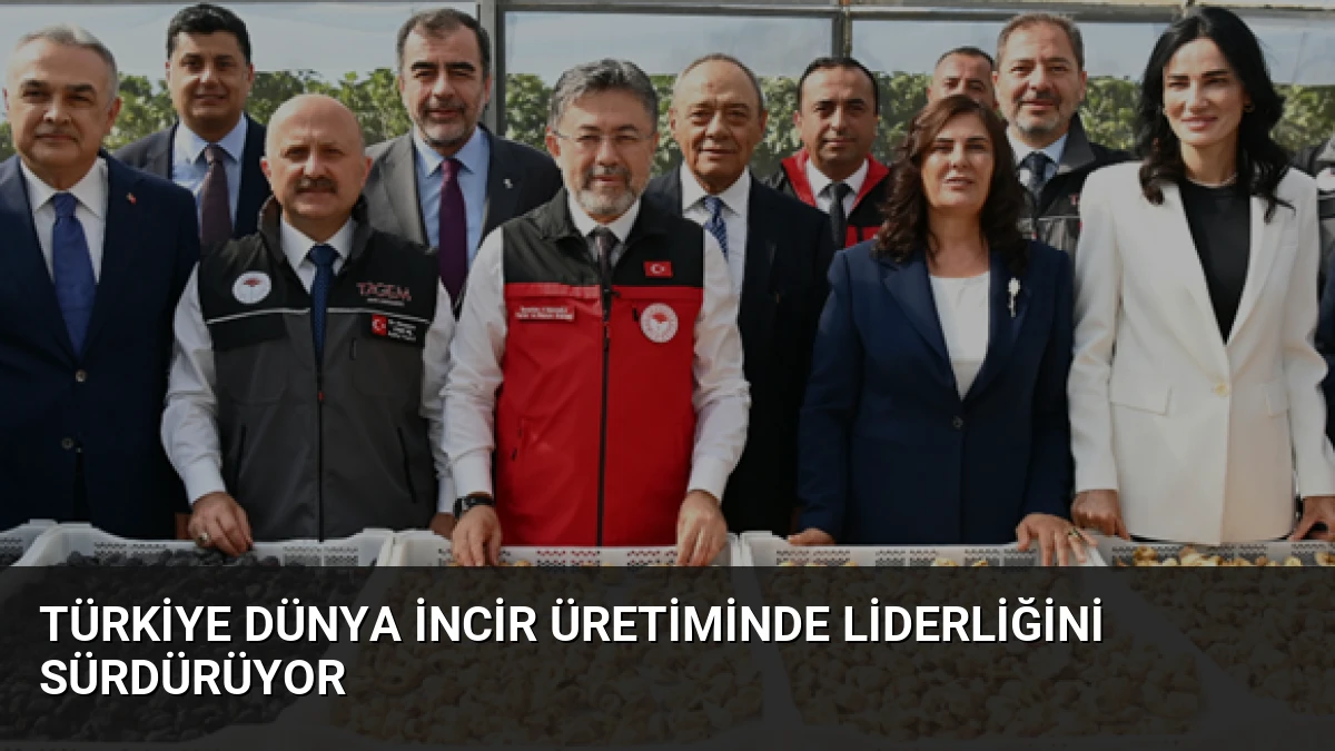 Türkiye Dünya İncir Üretiminde Liderliğini Sürdürüyor
