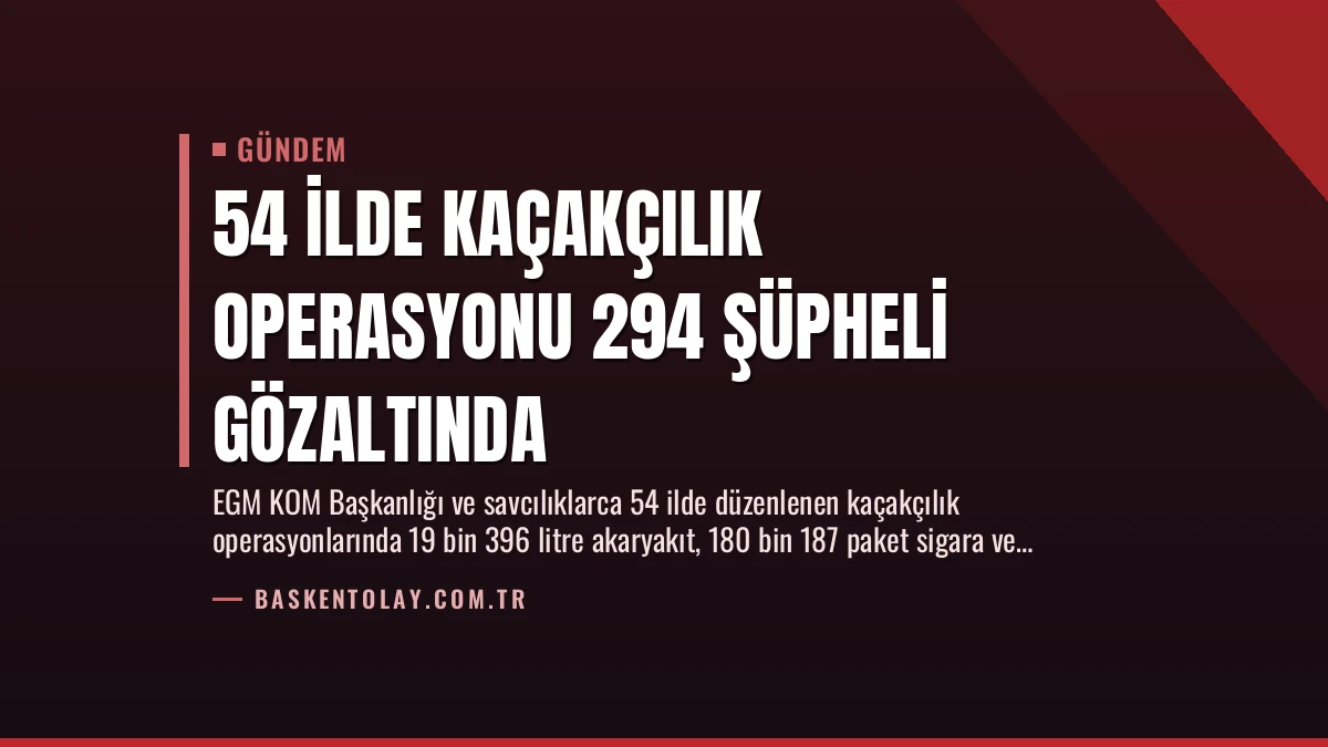 54 İlde Kaçakçılık Operasyonu 294 Şüpheli Gözaltında