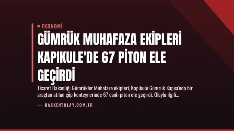 Gümrük Muhafaza Ekipleri Kapıkule’de 67 Piton Ele Geçirdi