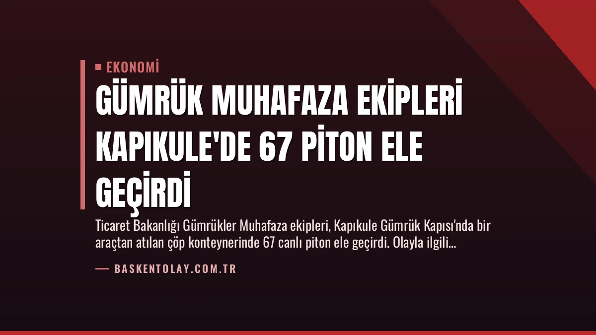 Gümrük Muhafaza Ekipleri Kapıkule’de 67 Piton Ele Geçirdi